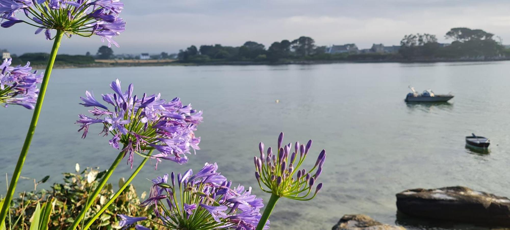 Kelerdut Plage Plouguerneau Εξωτερικό φωτογραφία